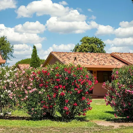 Mit Veranda In Montalto Marina * Torre di Montalto
